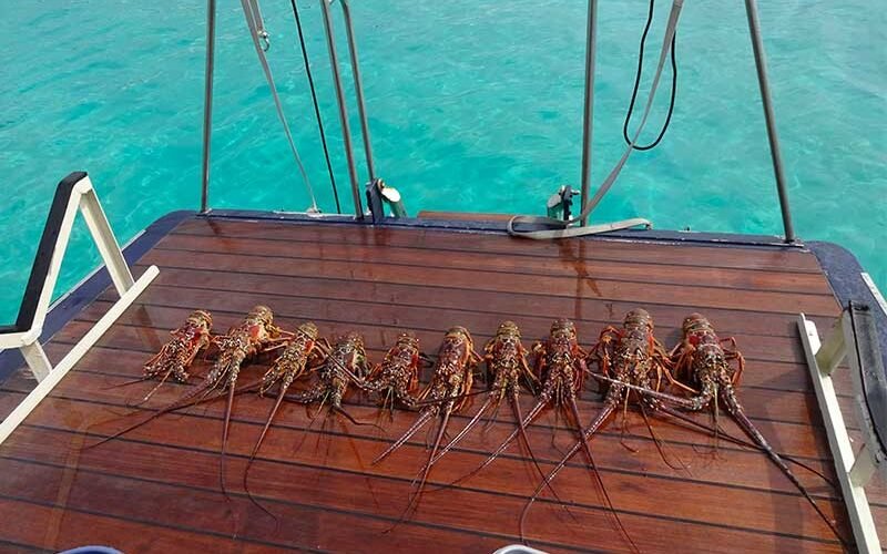 san-blas-sailboat-quest-5